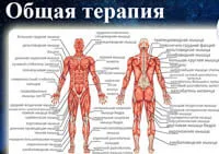 Прием врача терапевта. Кәусар Бұлақ Прием врача терапевта. Кәусар Бұлақ